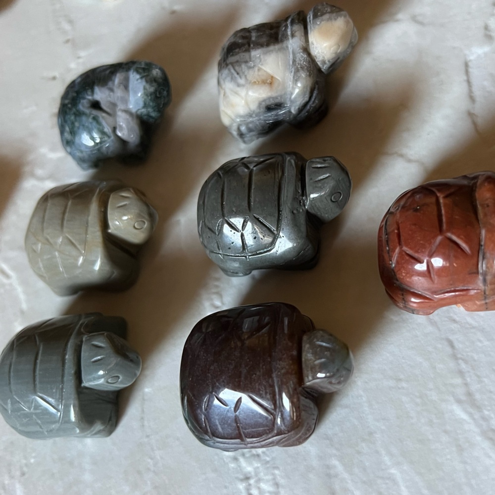Turtle Carving - Picture 3 of 16